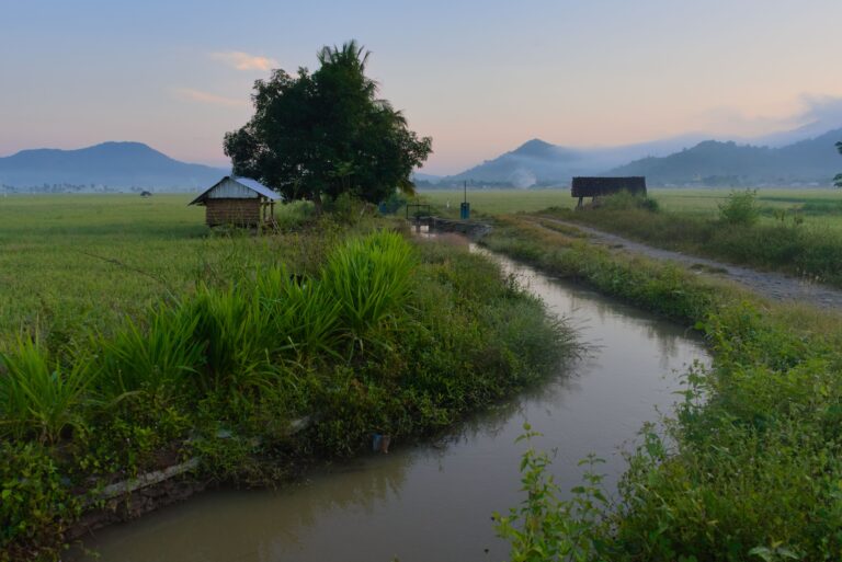 shio-kambing-angka-jitu-rahasia-dan-prediksi-angka-304