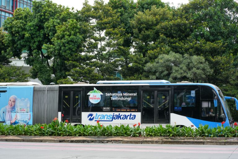 shio-kerbau-rezeki-rahasia-keberuntungan-dan-cara-553