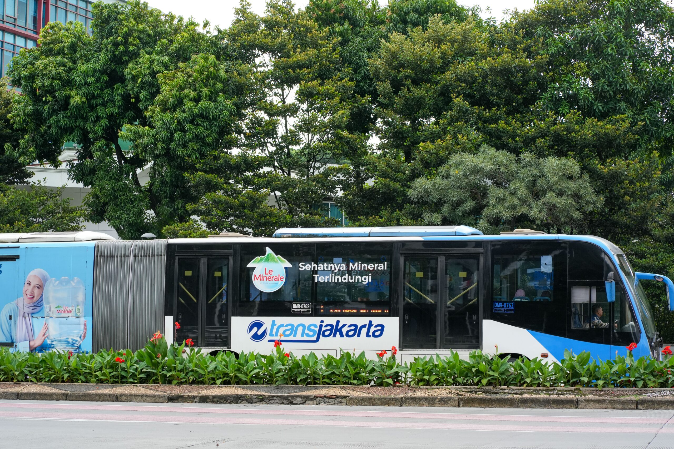 shio-kerbau-rezeki-rahasia-keberuntungan-dan-cara-553